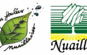 Semi-Marathon Forestier de Nuaillé